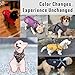 Savlot Hundemantel mit Geschirr Welpenmäntel Kleine Hundejacke mit Reißverschluss wasserdichte Winterjacken für kleine und Mittelgroße Hunde