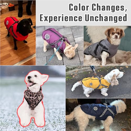 Savlot Hundemantel mit Geschirr Welpenmäntel Kleine Hundejacke mit Reißverschluss wasserdichte Winterjacken für kleine und Mittelgroße Hunde