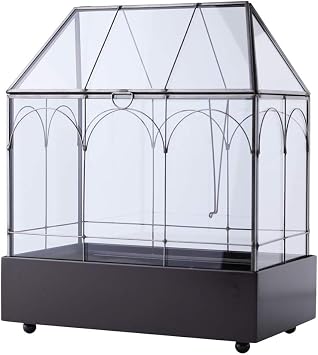 Large 11.5" Tall Plant Terrarium Glass Glass Greenhouse Terrarium with Lid and Tray,Indoor Tabletop Orchid Succulent Cacti Terrarium