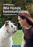 calming signals hund pdf  Wie Hunde kommunizieren: Hundesprache richtig verstehen