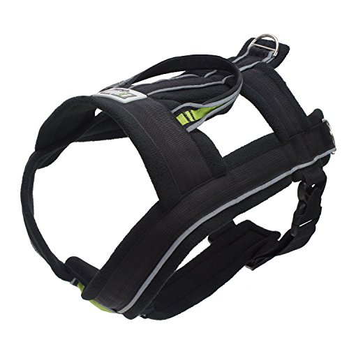 Frontpet FRO-DH-PH Dog Pulling Harness & Pulling Leash - Adjustable Padded Dog Vest thumb #1