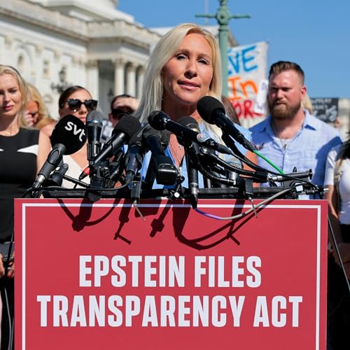 The Epstein Files Fight Podcast Por  arte de portada