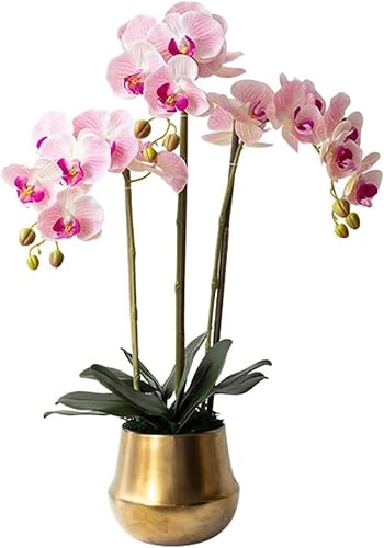MYUYEE Fake Artificial Flowers Flower Phalaenopsis Bouquet With Vase Set Plastic Crafts Living Room Suitable For Holiday Party Wedding Office Decoration(Roze-Oval Bottle)