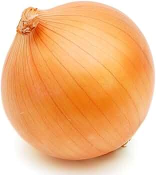 玉ねぎ苗 OP黄 2000本 Amazon.co.jp: 玉ねぎ抜き苗 品種：OP黄(中生) 約50本(50本×1束)【品種