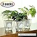 Self Watering Planter , FENGZHITAO African Violet Pots, Clear Plastic Automatic-Watering Planter Flower Pot Square Plant Pot for All House Plants, Succulents, Herb, African Violets (3 Packs Small)