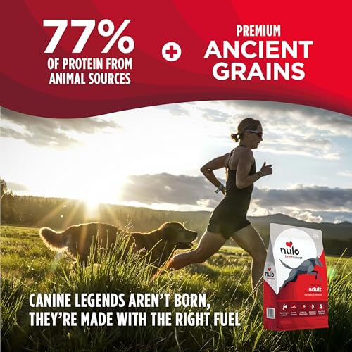 Image of Nulo Frontrunner Dry Dog Food - Adult High-Protein Beef, Barley & Lamb Recipe, Natural Kibble with Ancient Grains, Probiotics, Taurine, Omega 3 for Small, Medium and Large Breeds, 5lb Bag