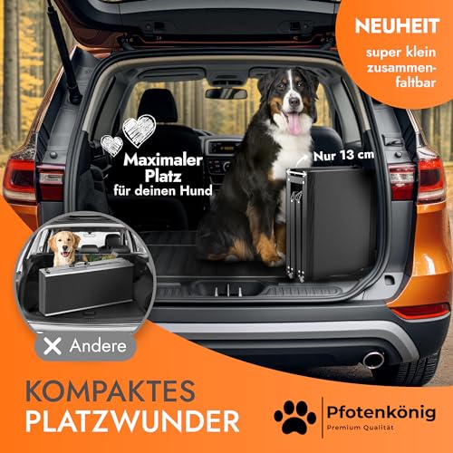 PFOTENKÖNIG Hunderampe - bis 90kg - [PLATZWUNDER] - stabile Premium Hunderampe Auto klappbar - Anti-Rutsch Hunderampe Auto aus Leicht-Alu - passt für alle Fahrzeuge