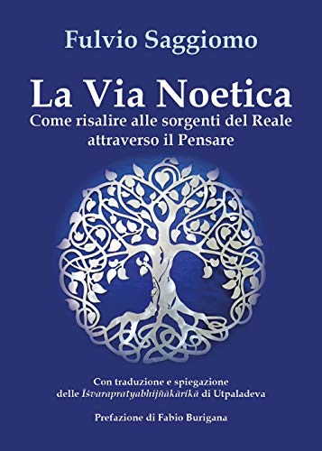 La via noetica. Come risalire alle sorgenti del reale attraverso il pensare