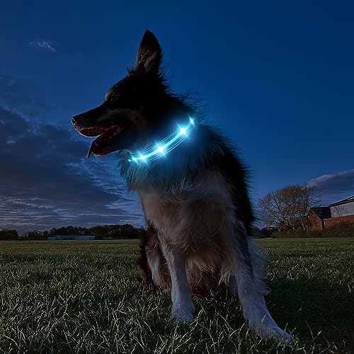 MASBRILL Hundehalsband Leuchtend Aufladbar, Hund 7 RGB Farbwechsel mit 8 Leuchtmodi, Verstellbare LED HundeHalsband Wasserdicht für Kleine Mittlere Große Hunde Leuchtendes Halsband, Schwarz M