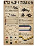 Cartelli in metallo con informazioni sulle corse di kart, poster retrò con informazioni sulle corse di kart, grafici educativi di divulgazione scientifica, targhe da parete, decorazioni per casa, aul