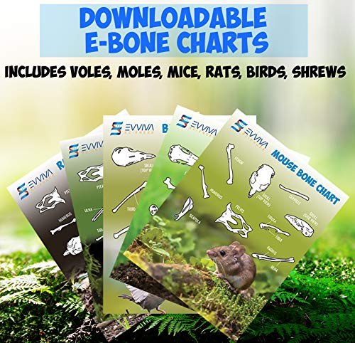 Amazing Owl Pellet Dissection Kit – 5-Piece Owl Pellet Set For Science Lab Projects – W/Tweezers And Wooden Probes – Ideal For Fun Science Projects – Barn Owl Ebook Included #TOP3