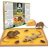 Albagarden - Trappola Adesiva MINI per Topi, Ratti, Scarafaggi, Formiche e Lucertole. Tavoletta con Colla Potente e Aroma Alimentare, Uso Interno ed Esterno x 2 Pz