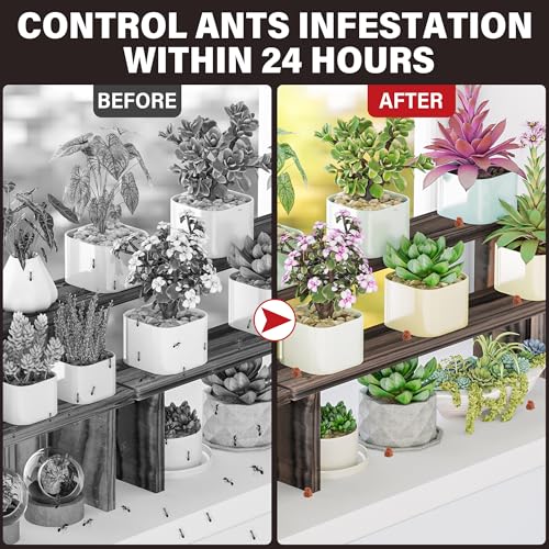 Yineaae 6 Tuben 30g, Ameisen Repellent Gel, Gebrauchsfertige Ameisengelköder für Haus und Garten, zur Überwachung von Ameisen