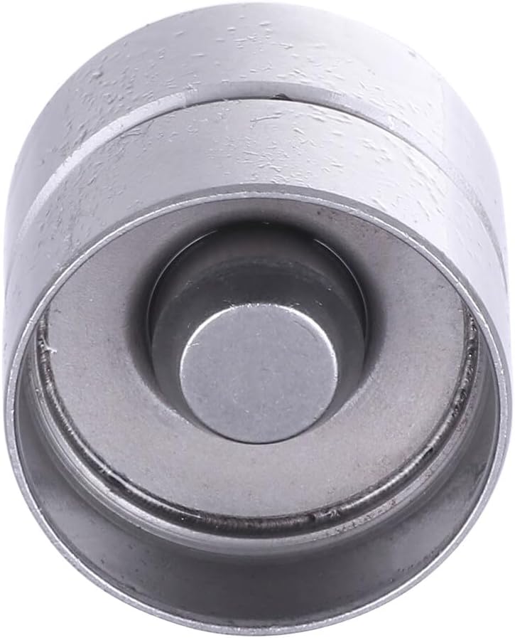 ROADFAR 24 Pack Hydraulic Valve Adjuster Valve Lifter Fits 1998-2000 For Chevy Metro 1989-1997 For Geo Metro 1989-1991 1994-2000 For Pontiac Firefly Replaces LF8006 LIF510 5235455 85003500