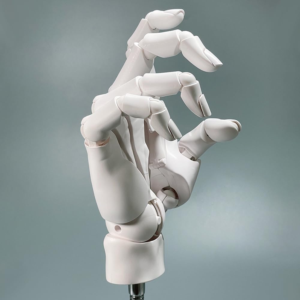1:1 Flexible Right Hand Model, Joints Moveable Artists Manikin Hand Figure for Arts Drawing Sketching Painting Jewelry Display (White, one Size)