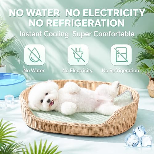 Image of PatiencET Dog Cooling Mat, 22 x 28 in No-Gel Cooling Pad for Small Dogs, Puppies and Cats, Cool Touch Pet Mat with Ice-Dot Texture, Washable Summer Crate Pad for Floor, Sofa, Car, Light Green