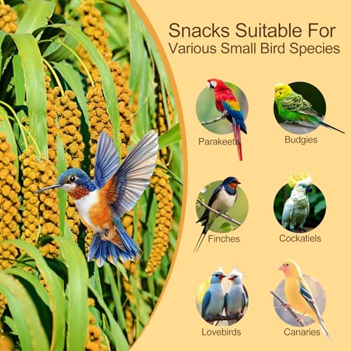 Natural Spray Millet for Birds, 400 Gram Sun-Dried Millet Bird Treat - Food for Parakeets, Parrots, Cockatiels, Lovebirds, Finches, Canaries - Image 6
