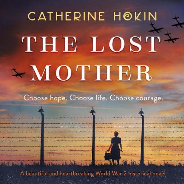 Cover art for The Lost Mother