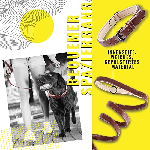ne&no® Collar and Lead Set (Vegan Leather) Dog Lead with Collar I Robust Dog Lead with Carabiner I Adjustable Dog Collar I 1.2 m Dog Leash I Flexible and Extra Soft (M - Image 3