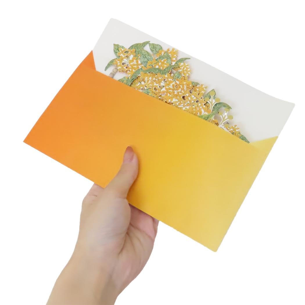 ME!J No.229 2023年 特製ポップアップカード付き MASTER BUNNY EDITION｜幾何学柄ジャガード フーディプル