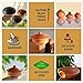 Swadeshi Blessings Unglazed Clay Tajine Pot for Cooking with Lid/LEAD-FREE Earthen Tajine/Clay Tagine Cookware for baking +FREE ASH For Cleaning