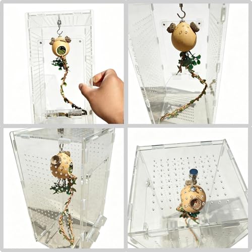 Escalada de jaula de araña y pitones con ramas flexibles 6