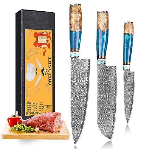 oFuun Set Cuchillo Cocina 3 Piezas, 67 Capas de Acero de Damasco Profesional Juegos de Cuchillo de Cocinero, Cuchillo Chef Santoku Universal con Mango Resina Azul