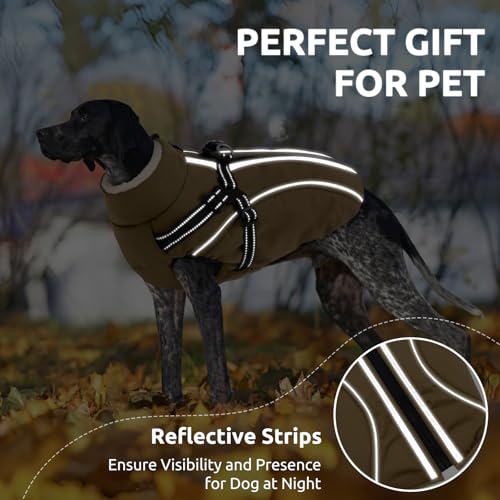 CITÉTOILE Hundemantel Hundejacke Warm Wintermantel mit Reißverschluss Winddichte & Winddichte mit Reflektorstreifen & Brustgurt für kleine Mittel Große Hunde Braun M