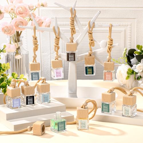 Image of Funnymoom 20 Pcs Employee Appreciation Gift Bulk Car Air Freshener Diffuser Hanging Car Empty Glass Oil Diffuser Thank You Gifts for Employee Coworker Social Worker