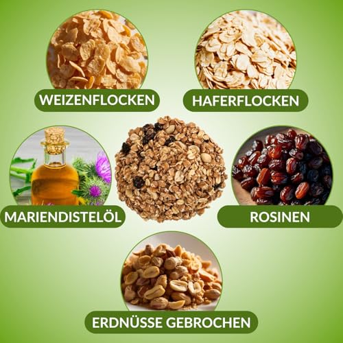 Fettfutter Vogelfutter für Wildvögel – Ganzjähriges Mischfutter mit hohem Fettgehalt, ideales Streufutter für 4 Jahreszeiten (25 kg)
