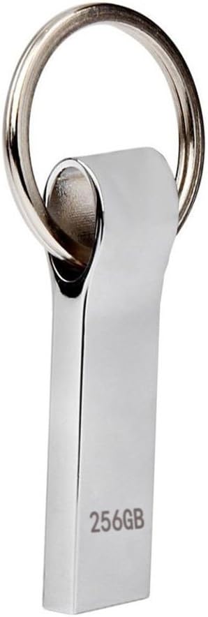 Aisopos Waterproof 256GB Pen Drive Keychain USB Flash Drive Fast Speed Thumb Drive