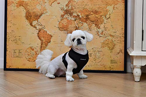 Puppia Hundegeschirr für kleine und mittelgroße Hunde - super weich in vielen Farben - Auch als Welpengeschirr verwendbar -Antizuggeschirr für Hunde, Schwarz, M