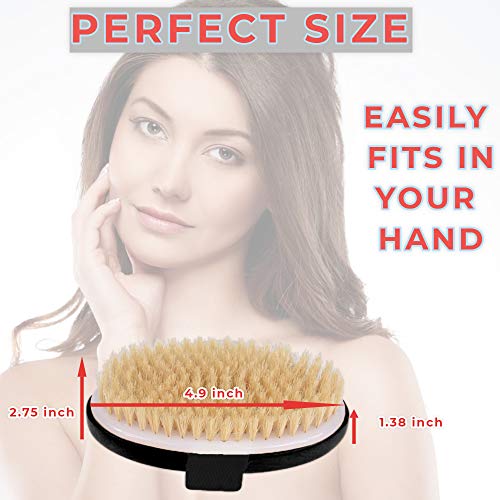 Image of Exfoliating Brush Dry Brush For Wet or Dry Brushing, Body Brush With Natural Bristle For Glowing SKin, Cellulite Treatment, Lymphatic Drainage and Blood Circulation (Oval-Black Wood)