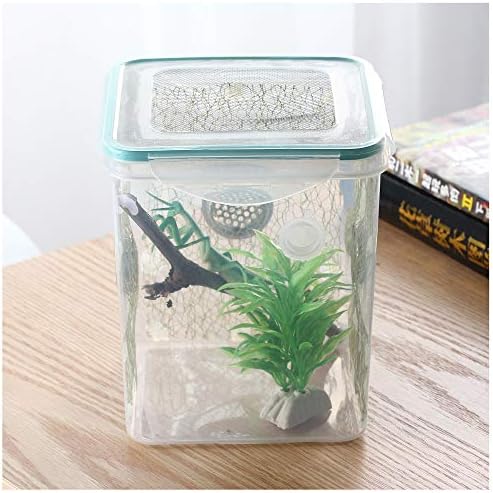 Crapelles Spider Mantis 瓶透气户外天然动物探索工具科学研究蝴蝶青蛙昆虫彩色笼子栖息地捕虫器小虫虫板球蜗牛容器