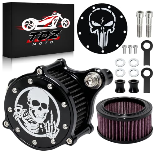 TDZ 2PC Air Cleaner Intake Filter Kit for 2004-2022 Harley Sportster Iron 883 Dark Custom XL883 XL1200 XL1200L XL1200X Forty Eight
