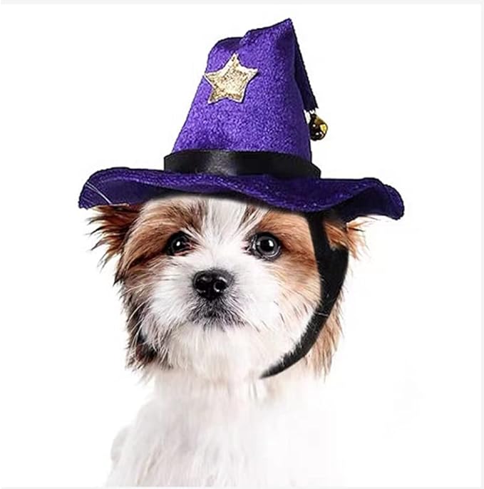 Sombrero de Bruja Mágico Ajustable para Mascotas ANIAC Halloween miniatura 2