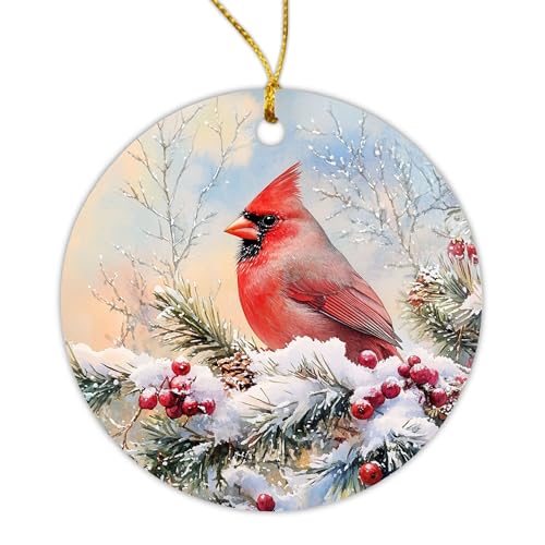 Image of Than8686-20250820 - - - ORN - - - Red - - - Cardinal - - - - Rch5EQmeL