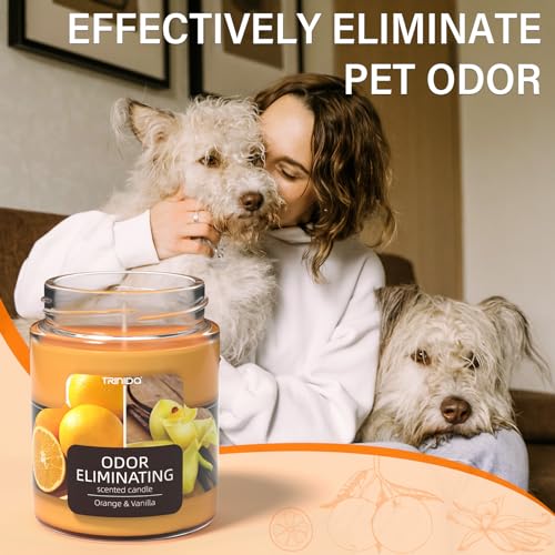 Trinida Orange & Vanilla Odor Eliminating Candles For Home Scented thumb #3