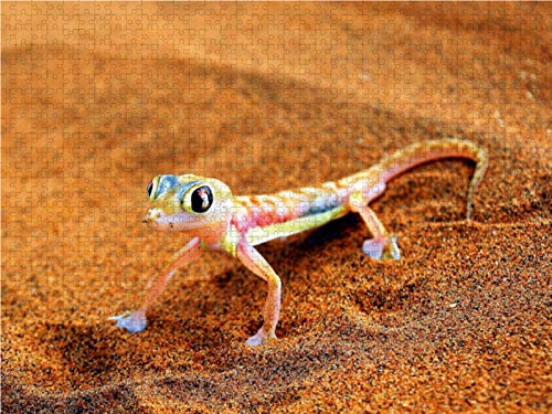CALVENDO Puzzle 'Lizard Point' – 1000 Teile, 64x48 Cm Legegröße, Premium-Qualität Aus Europa