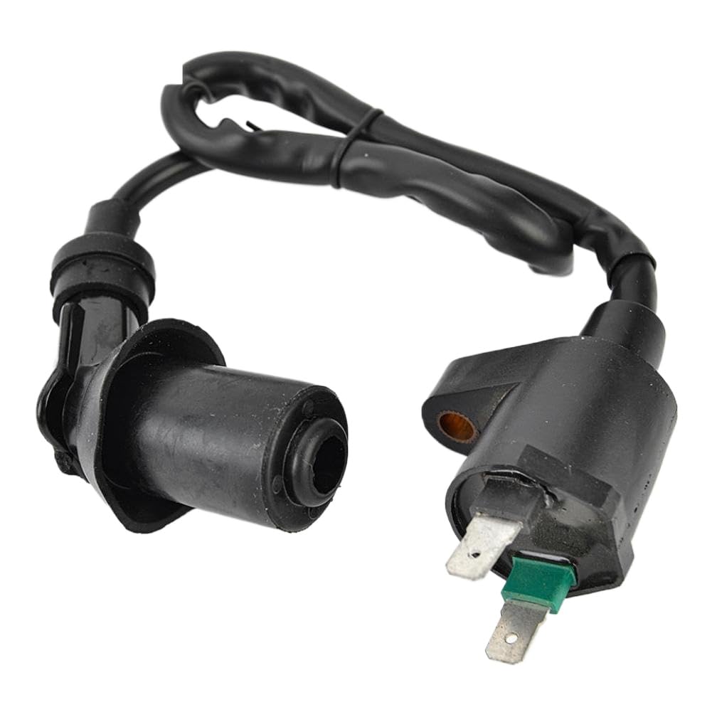 Gruppo bobina di accensione V30510CJF010 compatibile con Aeon DS70 DS90 X DS 70 90 4T e GOES ATV 220 sostituisce AEO-30510205-000
