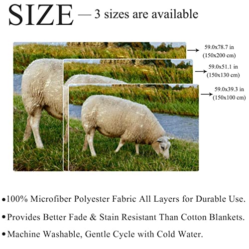 Couverture en peluche microfibre TBOUOBT imprimé moutons