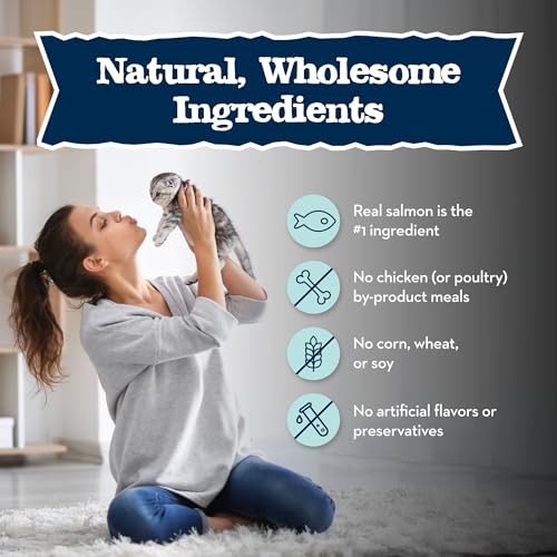Image of Blue Buffalo Baby BLUE Natural Grain-Free Wet Food for Kittens, Healthy Growth Formula with DHA, High-Protein Salmon Pate, 3 Ounce (Pack of 24)