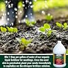 Medina Humate Humic Acid for Plants - Concentrated Liquid Compost, Humic Acid for Lawn - Enhance Plant Growth, Moisture Retention, Nutrient Absorption - Humates for Soil - 1 Gal Covers 8000 Sq. Ft.