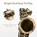 Eastar Alto Saxophone Antique Finish Bronze Vintage Sax Eb E-flat Student Beginner with Case, Mouthpiece, Straps, Reeds, Stand, Cleaning Kit, AS-Ⅱ-Ab