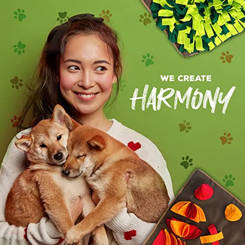 LUCON Schnüffelteppich für Hunde & Katzen 11 spannende Elemente mit PAWerful3 Robustes Intelligenzspielzeug XXL 100x60cm Spielzeug für alle Rassen Geschenkidee bunt