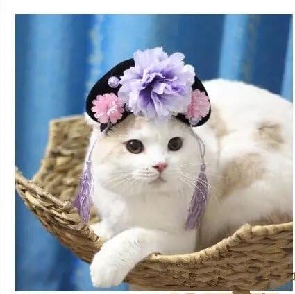 Visky Handmade Pet Funny Style Hats Dog Cat Halloween Pet Hat Classics Collection Pet Costume-Pruple-M