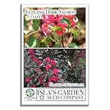 Double Dark Salmon Clarkia Elegant Flower Seeds (Clarkia Unguiculata) – 1000+ Non-GMO Heirloom Seeds, by Isla’s Garden Seeds, Perfect for Home Gardens, Easy to Grow, Stunning Dark Salmon Blooms -  Isla's Garden Seeds Company (Total Quality)