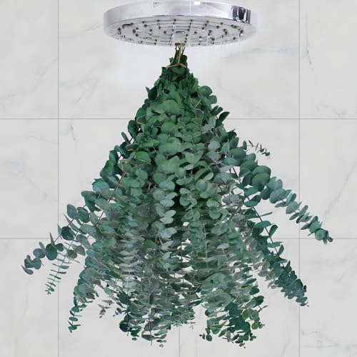20 pezzi di eucalipto essiccato per doccia, steli di eucalipto vero, foglie di eucalipto naturale fresco e aromatico per la doccia, decorazione della casa