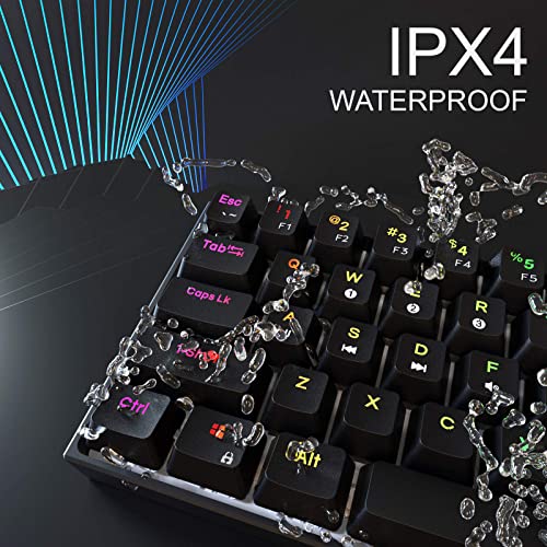 Image of DIERYA x KEMOVE 60% Mechanical Gaming Keyboard, RGB Backlit Wired PBT Keycap Waterproof Type-C Mini Compact 61 Keys Computer Keyboard with Full Keys Programmable (Gateron Optical Brown Switch)