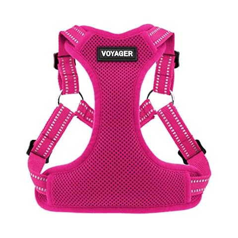 Best Pet Supplies Voyager Adjustable Dog Harness with Reflective Stripes for Walking, Jogging, Heavy-Duty Full Body No Pull Vest with Leash D-Ring, Breathable All-Weather - Harness (Fuchsia), XL Cover